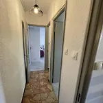 T2 Renove, Animaux Admis, Parking Securise, Proche Et Port - Saint-cyprien - Fr-1-106-69 * Saint-Cyprien (Pyrenees-Orientales)