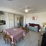 T2 Renove, Animaux Admis, Parking Securise, Proche Et Port - Saint-cyprien - Fr-1-106-69 Apartment