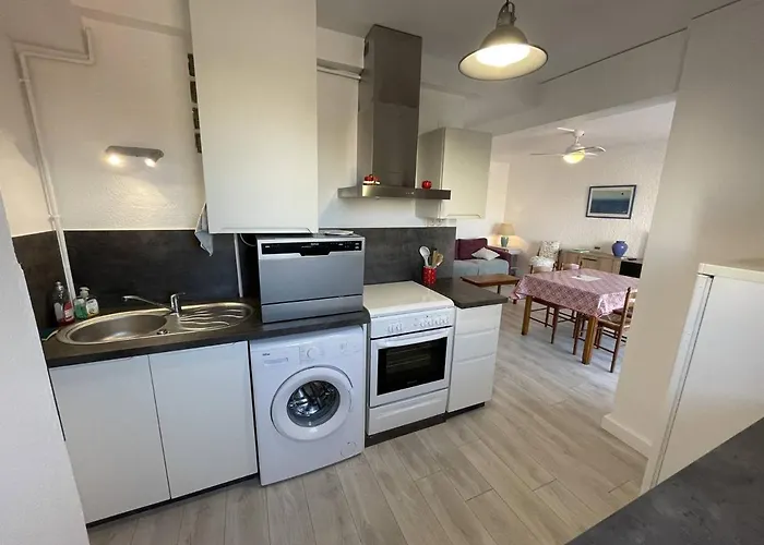T2 Renove, Animaux Admis, Parking Securise, Proche Et Port - Saint-cyprien - Fr-1-106-69