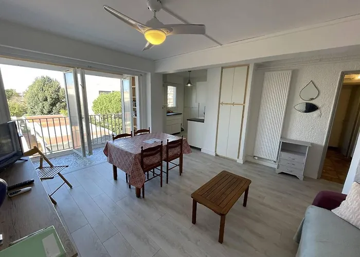 Апартаменты T2 Renove, Animaux Admis, Parking Securise, Proche Et Port - Saint-cyprien - Fr-1-106-69