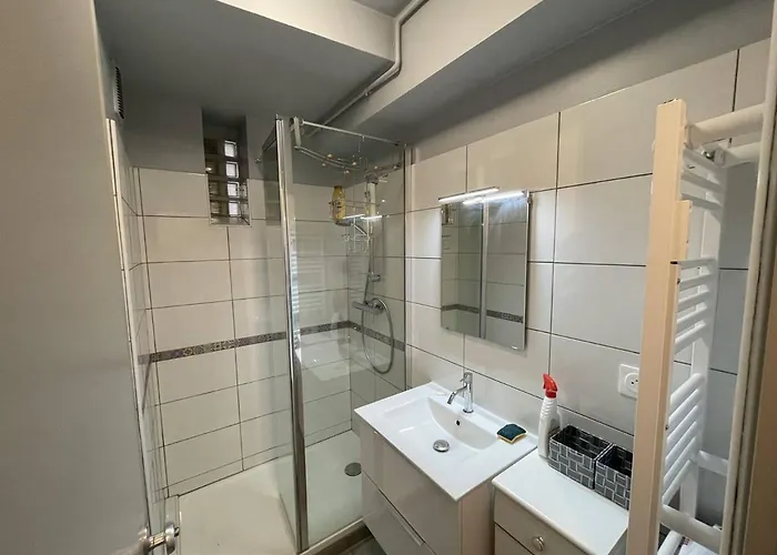 T2 Renove, Animaux Admis, Parking Securise, Proche Et Port - Saint-cyprien - Fr-1-106-69