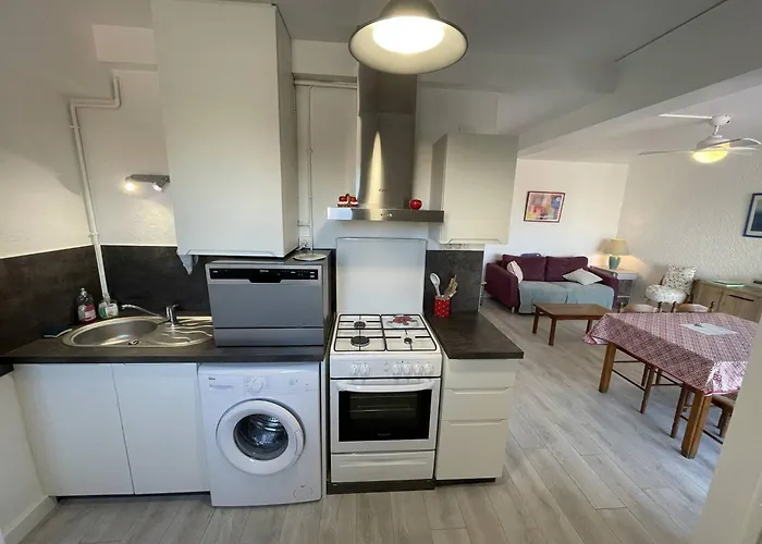 Апартаменты T2 Renove, Animaux Admis, Parking Securise, Proche Et Port - Saint-cyprien - Fr-1-106-69 *