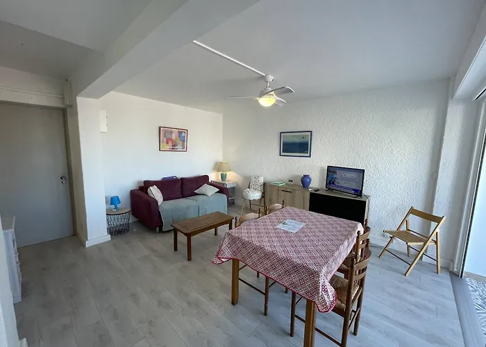 T2 Renove, Animaux Admis, Parking Securise, Proche Et Port - Saint-cyprien - Fr-1-106-69 Апартаменты