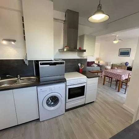T2 Renove, Animaux Admis, Parking Securise, Proche Et Port - Saint-cyprien - Fr-1-106-69
