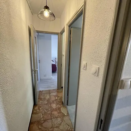 T2 Renove, Animaux Admis, Parking Securise, Proche Et Port - Saint-cyprien - Fr-1-106-69 * Saint-Cyprien (Pyrenees-Orientales)