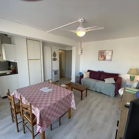 T2 Rénové, Animaux Admis, Parking Sécurisé, Proche Et Port - Saint-cyprien - Fr-1-106-69 Appartement