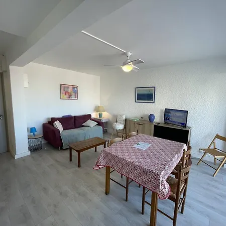 T2 Renove, Animaux Admis, Parking Securise, Proche Et Port - Saint-cyprien - Fr-1-106-69 Appartement