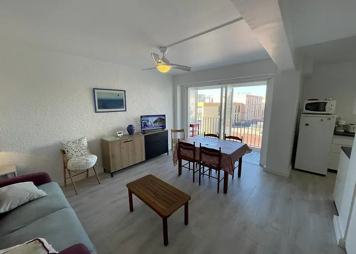 T2 Renove, Animaux Admis, Parking Securise, Proche Et Port - Saint-cyprien - Fr-1-106-69 Lejlighed Saint-Cyprien (Pyrenees-Orientales)