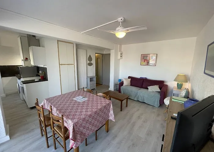 T2 Renove, Animaux Admis, Parking Securise, Proche Et Port - Saint-cyprien - Fr-1-106-69 Lejlighed