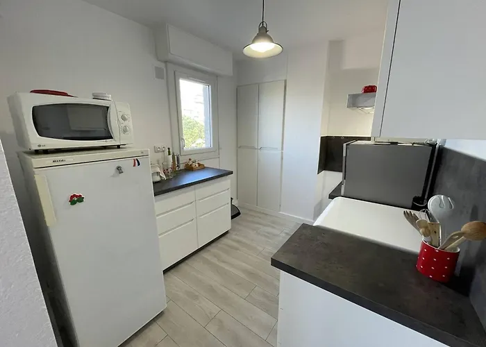 T2 Renove, Animaux Admis, Parking Securise, Proche Et Port - Saint-cyprien - Fr-1-106-69 Lejlighed *