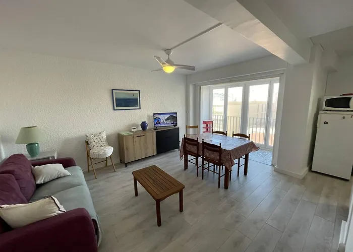 T2 Renove, Animaux Admis, Parking Securise, Proche Et Port - Saint-cyprien - Fr-1-106-69 Lejlighed *